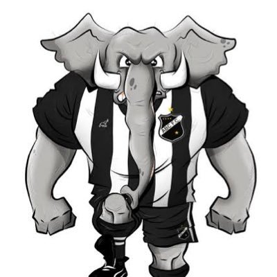 fantaopistola's profile picture. Sobrevivendo a cada rodada no limite da sanidade. Fantao Pistola, mas sempre fiel! ⚫️⚪️🦇