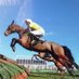 Newmarket House Stud (@nhlennh) Twitter profile photo Newmarket House Stud (@nhlennh) Twitter profile photo
