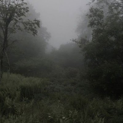 herefortaylor15's profile picture. 