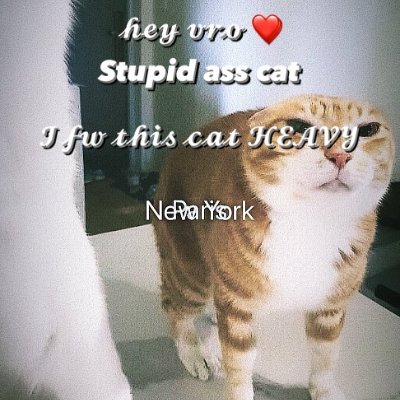 kdjyjhhsy1843's profile picture. the fool who doesnt belong to his era