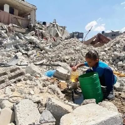 mohammed_m13390's profile picture. I smell the scent of Gaza, if only you wouldn't deny it 💔🌵