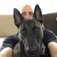 Sigrún Dutch Sheperd (@dutchsigru52862) 's Twitter Profile Photo Sigrún Dutch Sheperd (@dutchsigru52862) 's Twitter Profile Photo