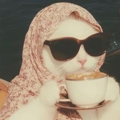 nathamansano's profile picture. 