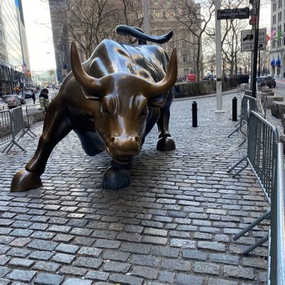 brammo_s's profile picture. Be grateful for what you have, and work on what you want tomorrow