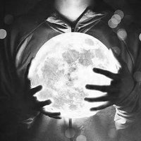 . (@fllhv) Twitter profile photo