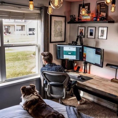 iraduku_k's profile picture. 