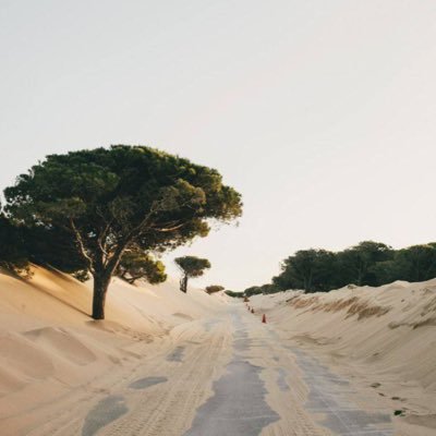 الاحلام ماتو قبلنا شرهين ما وصلو لها