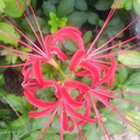 @Mr-NFTs.eth - @BayleeMay_ - Twitter