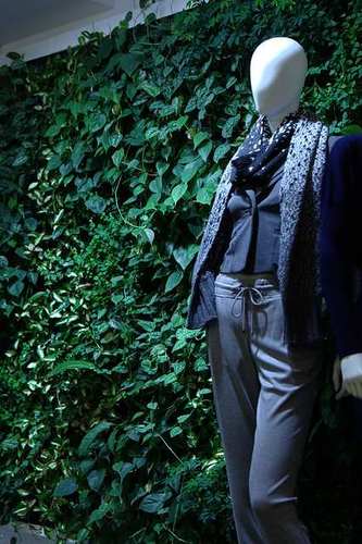 GinkelGroepIB's profile picture. Groen in gebouwen, dat wil toch iedereen! binnenbeplanting, binnentuinen, groene gevels, eetbaar groen, ambachtelijk, kennis, LEEF!!!