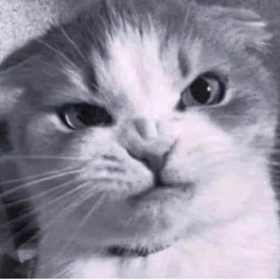 Nurse. Loves books, crafts and Rock music Crazy cat lady. Member of The Free Speech Union. Proud Geordie