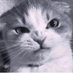 BookLady (@booklady50) Twitter profile photo BookLady (@booklady50) Twitter profile photo
