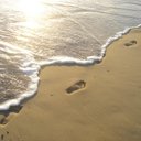 Michelle Phillip - @mchellephillip - Twitter