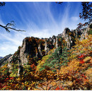 qjqwjs63's profile picture. 