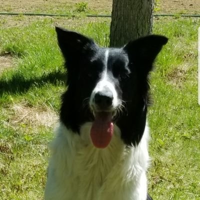 st3ph3nrey's profile picture. 