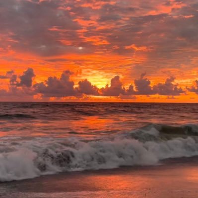 bbecbecc's profile picture. Indy