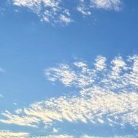 雨音 (@ameotoyume) Twitter profile photo