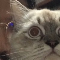 Bimowid (@snowboardkidzzz) 's Twitter Profile Photo Bimowid (@snowboardkidzzz) 's Twitter Profile Photo