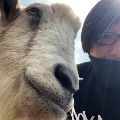 Vocalist for APSYLAMB(@APSYLAMB), Un-Wasted Fear(@UWF_Nagano)/プロレス、格闘技/温泉、小旅行/動物/アナデン/ヘヴィ・ミュージック