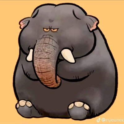 NamvietHua's profile picture. Hua