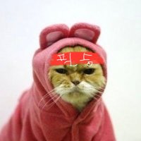 ㅇㅈㅇ (@dwd417) 's Twitter Profile Photo
