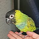 Paulo Adriano Sosa Silva - @44_doyiend - Twitter