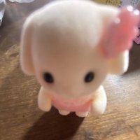 예빈 (@_an_i7) 's Twitter Profile Photo 예빈 (@_an_i7) 's Twitter Profile Photo