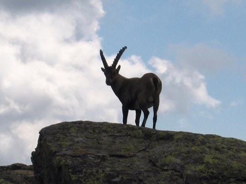 majejoam's profile picture. ti/ch