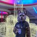 Raiden_Wolf (@raiden_wolf_) Twitter profile photo Raiden_Wolf (@raiden_wolf_) Twitter profile photo