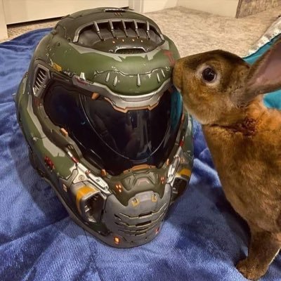 soared26640's profile picture. 