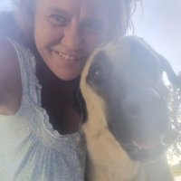 Eden (@eden_shade) 's Twitter Profile