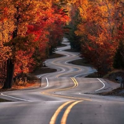 BrayoMchelsea21's profile picture. 