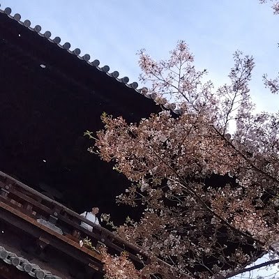 jqjv58011's profile picture. F1について発信するアカウント
角田裕毅選手最推し
最推しチームVisaCashAppRacingBulls
本垢@kou778966411