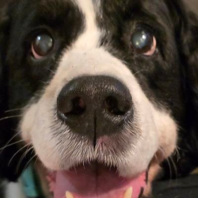 ESSMarshall's profile picture. Fuck it we ball