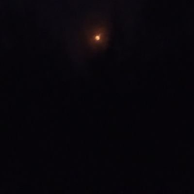 chimimata's profile picture. peak is what touhou is. touhou is peak.