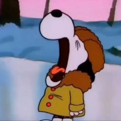 riotblooms's profile picture. 🛸 ° 🌓 • .°• 🚀 ✯ ★ * ° ☄ °· 🪐 . • ° ★ •🌙