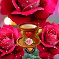 Tanveer Ahmed (@zahidkhanz74837) 's Twitter Profile Photo Tanveer Ahmed (@zahidkhanz74837) 's Twitter Profile Photo