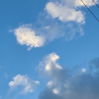 womyn0308's profile picture. 