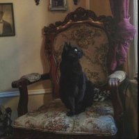 Ebtehal (@wi4l_5) 's Twitter Profile Photo