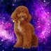 🚀134340 miles from sanity⁷💫🌟 (@naija0329) Twitter profile photo 🚀134340 miles from sanity⁷💫🌟 (@naija0329) Twitter profile photo