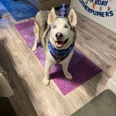 KarniKun's profile picture. forging my destiny