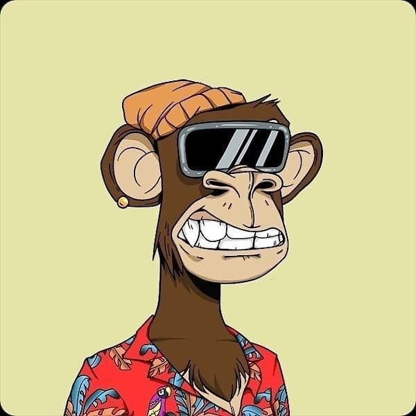 KolindaSchafer's profile picture. 