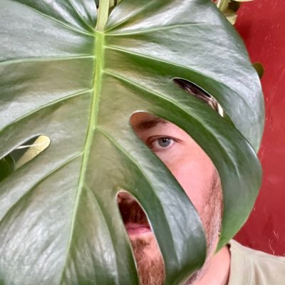 f_42_a's profile picture. Subjective opinion