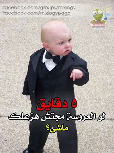 elaraby mohmad ahmed