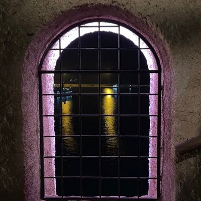 _Thikraalz's profile picture. Free Palestine 🇵🇸