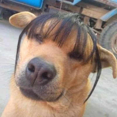 MeMay2533's profile picture. 