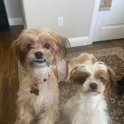 Cashbren7674's profile picture. 