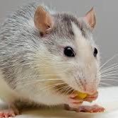 omartits's profile picture. 