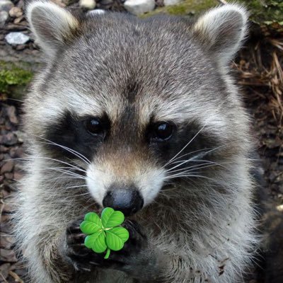 NN101999999999's profile picture. 🍞