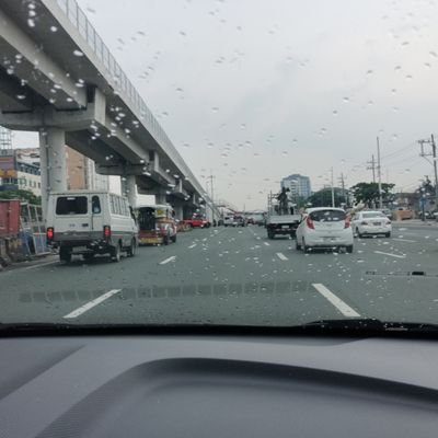 shadowmoom77's profile picture. 