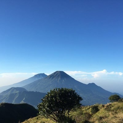 ngcnksllbro's profile picture. 